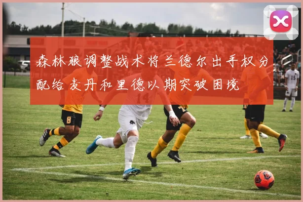 森林狼调整战术将兰德尔出手权分配给麦丹和里德以期突破困境