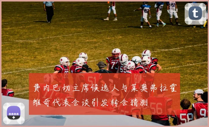 费内巴切主席候选人与莱奥弗拉霍维奇代表会谈引发转会猜测
