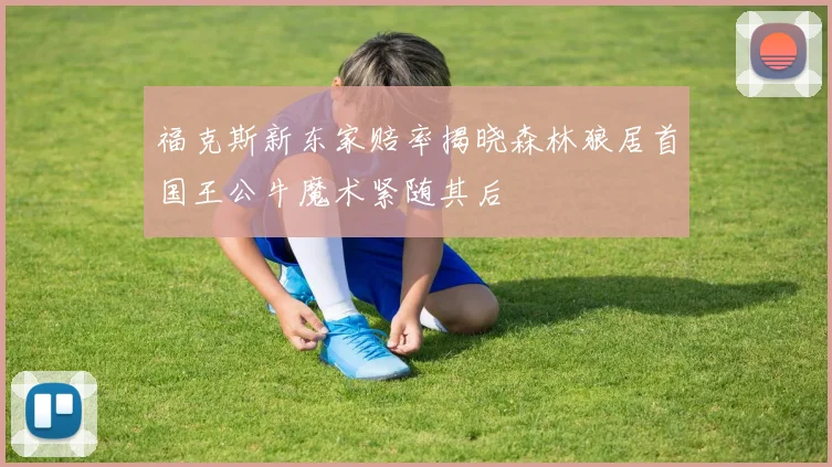 福克斯新东家赔率揭晓森林狼居首国王公牛魔术紧随其后
